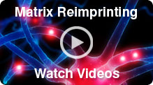 Matrix Reimprinting Videos